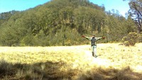 sabana lonceng di simpang puncak