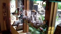 Cokelat-cokelat yang bentuknya lucu