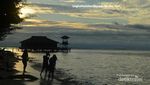 Pulang Kampung Ke Derawan, Bisa Lihat Hiu Paus