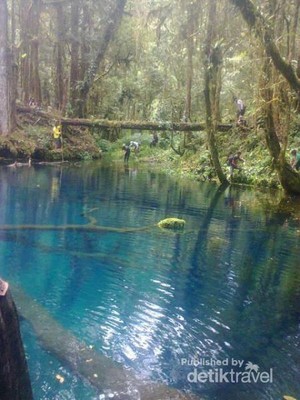 Pulang ke Jambi, Yuk Berenang di Telaga Biru!