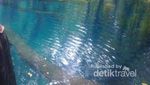 Pulang ke Jambi, Yuk Berenang di Telaga Biru!
