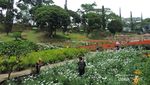 Pulang ke Malang, Wajib Liburan ke Selecta!