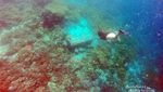 Pulau Alor, Si Mutiara dari Timur Indonesia
