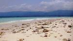 Pulau Badul di Ujungkulon, Serasa Milik Pribadi