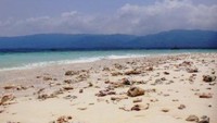 Pasir dengan Pecahan Karang