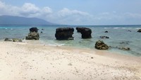 Karang di tepi pantai