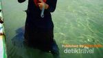 Pulau Beras Basah, Si Cantik dari Bontang