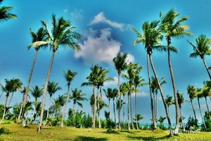 Pulau Bira Nan Eksotis di Kepulauan Seribu