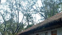 Rumah tua terbengkalai dibelakang pulau