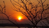 Sunset Bau-bau