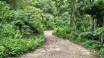 Pulau Cantik Dengan Kisah Ala Malin Kundang di Sumbar