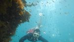 Pulau Cantik di Raja Ampat Ini Belum Banyak Orang Tahu