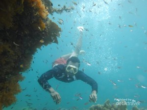 Pulau Cantik di Raja Ampat Ini Belum Banyak Orang Tahu