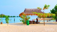Berminat datang ke Pulau Pari?