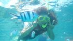 Pulau Cilik, Karibia Ala Indonesia