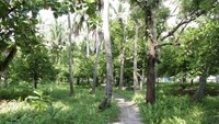 Jalan setapak menuju ke benteng