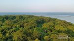Pulau di Indramayu Ini Dihuni Biawak