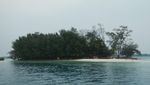 Pulau Dolphin di Kepulauan Seribu, Masih Perawan