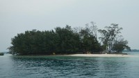 Pulau Dolphin