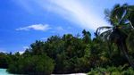 Pulau Gam, Lukisan Tuhan di Raja Ampat