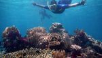 Pulau Gam, Mutiara dari Raja Ampat