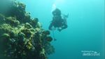 Pulau Hari Juga Menakjubkan, Surganya Sultra