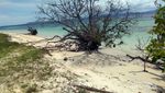 Pulau Kanawa, Keindahan Tersembunyi Labuan Bajo
