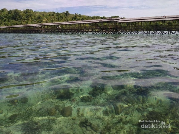 Foto ini diambil dari perahu sesaat sebelum turun. Ini cuma pakai kamera hp, karena emang ga prepare bawa mirrorless yang biasa kupake. Jernih kan Foto ini diambil dari perahu sesaat sebelum turun. Ini cuma pakai kamera hp, karena emang ga prepare bawa mirrorless yang biasa kupake. Jernih kan