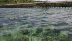 Pulau Karampuang Nan Perawan di Mamuju
