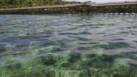 Foto ini diambil dari perahu sesaat sebelum turun. Ini cuma pakai kamera hp, karena emang ga prepare bawa mirrorless yang biasa kupake. Jernih kan
