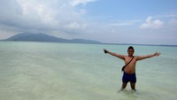 cemara kecil