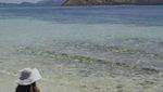 Pulau Kecil yang Menawan di Flores