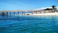 pasir putih mengelilingi garis pantai