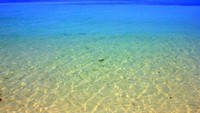 Jernihnya Air di Perairan Pulau Ketawai