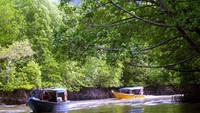 Menyusuri hutan mangrove menuju Kilim Geoforest Park