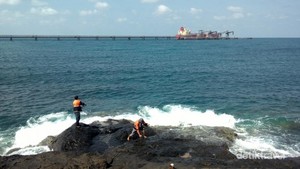 Pulau Laut, Cuma ada di Kalimantan Selatan