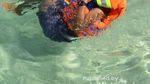 Pulau Lengkuas, yang Wajib Didatangi Saat ke Belitung