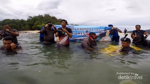 Pulau Mengkudu, Bangkit Pasca Tsunami