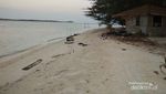 Pulau Menjangan Kecil Punya Pantai Cantik