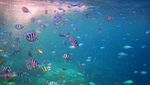 Pulau Menjangan Kecil, Surga Diving dari Karimunjawa