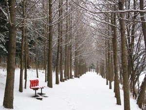 Pulau Nami, Merasakan Romantisme ala Film Winter Sonata