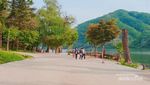 Pulau Nami yang Cantik, Meski Bukan di Musim Gugur