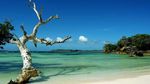 Pulau Ndao, Keindahan Ala Negeri Dongeng di NTT