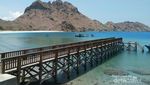 Pulau Padar yang Indah, Kamu Sudah ke Sana?