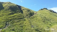 Jalur pendakian menuju puncak bukit Padar