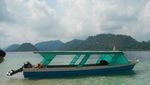 Pulau Pagang di Sumatera Barat, Cantik Banget!