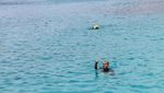 Pulau Panaitan, Apakah Ini Surga di Ujung Kulon?