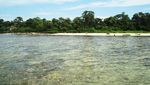 Pulau Panjang, Alternatif Wisata Pulau di Jepara