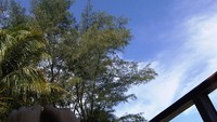 langit di Pulau Pantara