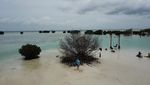 Pulau Pari, Destinasi Favoritnya Warga Jakarta